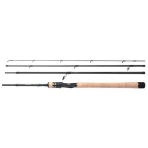 Daiwa Luvias Spin 4-pc