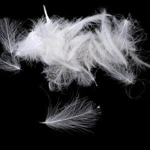 FlyDressing Premium CDC- White