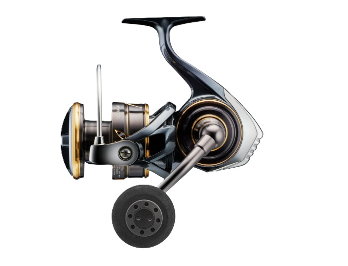 Daiwa 22 Caldia SW